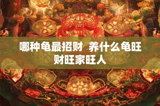 哪种龟最招财  养什么龟旺财旺家旺人