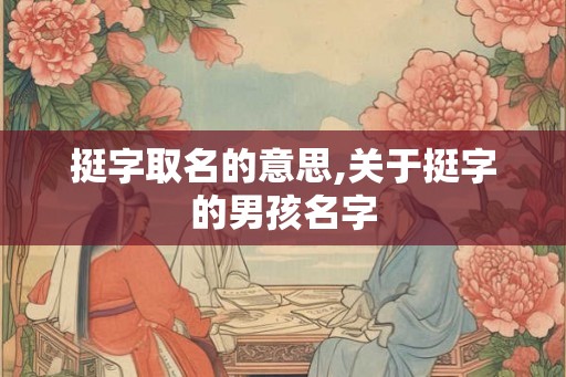 挺字取名的意思,关于挺字的男孩名字