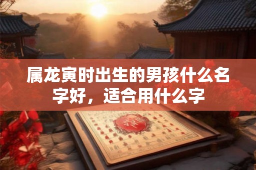 属龙寅时出生的男孩什么名字好，适合用什么字
