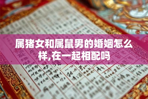 属猪女和属鼠男的婚姻怎么样,在一起相配吗 属猪女和属鼠男的婚姻怎么样,在一起相配吗