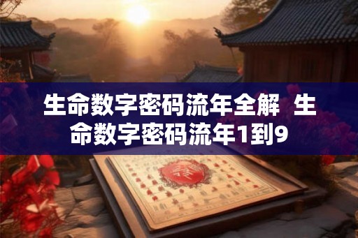 生命数字密码流年全解  生命数字密码流年1到9