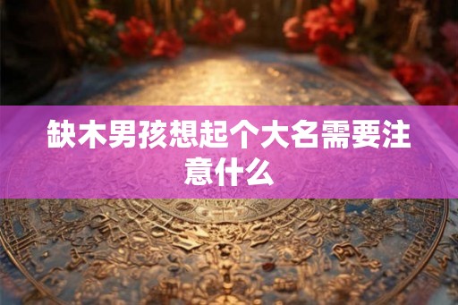 缺木男孩想起个大名需要注意什么