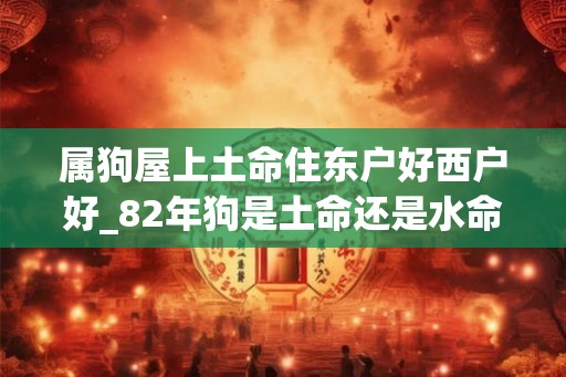 属狗屋上土命住东户好西户好_82年狗是土命还是水命 属狗屋上土命住东户好西户好_82年狗是土命还是水命