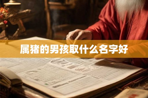 属猪的男孩取什么名字好 属猪的男孩取什么名字好
