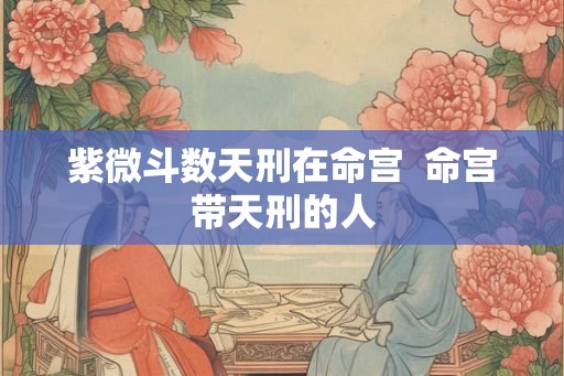 紫微斗数天刑在命宫  命宫带天刑的人