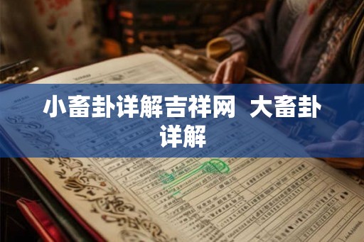 小畜卦详解吉祥网  大畜卦详解