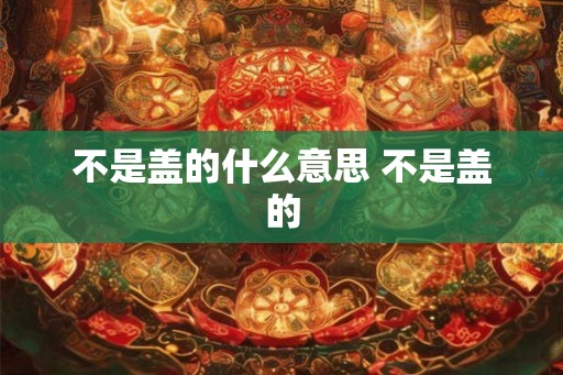 不是盖的什么意思 不是盖的