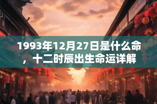 1993年12月27日是什么命，十二时辰出生命运详解