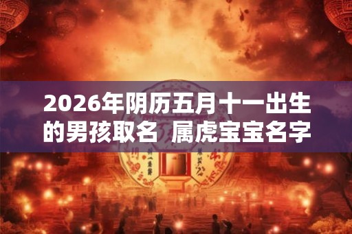 2026年阴历五月十一出生的男孩取名  属虎宝宝名字大全