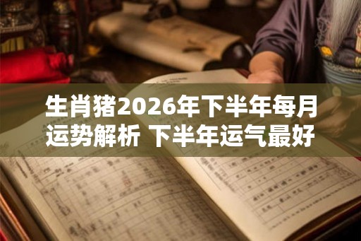 生肖猪2026年下半年每月运势解析 下半年运气最好的月份