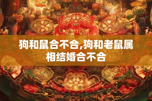 狗和鼠合不合,狗和老鼠属相结婚合不合