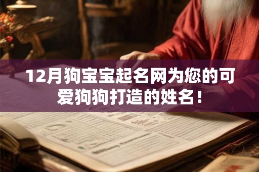 12月狗宝宝起名网为您的可爱狗狗打造的姓名！