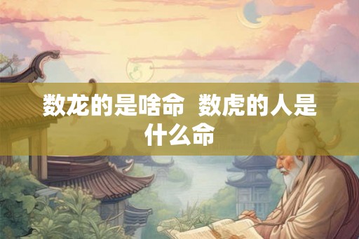 数龙的是啥命  数虎的人是什么命