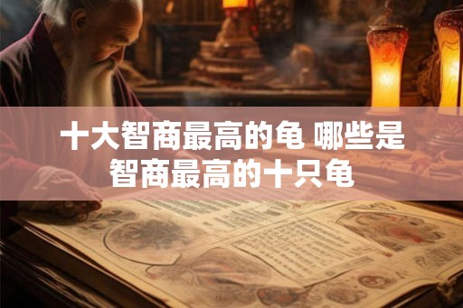 十大智商最高的龟 哪些是智商最高的十只龟 十大智商最高的龟 哪些是智商最高的十只龟