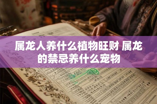属龙人养什么植物旺财 属龙的禁忌养什么宠物
