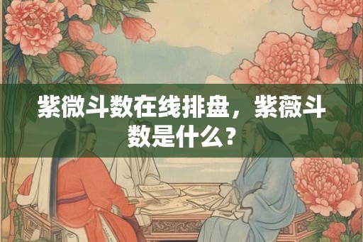 紫微斗数在线排盘，紫薇斗数是什么？