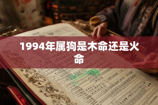 1994年属狗是木命还是火命