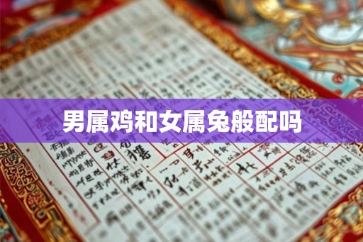 男属鸡和女属兔般配吗