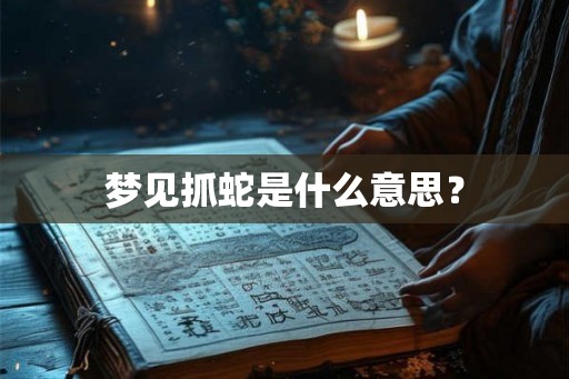 梦见抓蛇是什么意思？