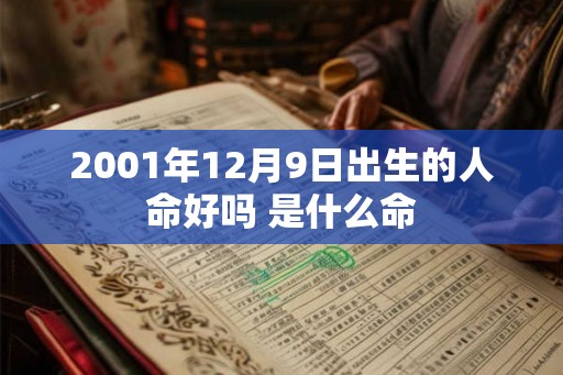 2001年12月9日出生的人命好吗 是什么命