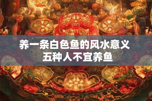 养一条白色鱼的风水意义  五种人不宜养鱼