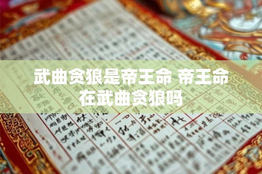 武曲贪狼是帝王命 帝王命在武曲贪狼吗