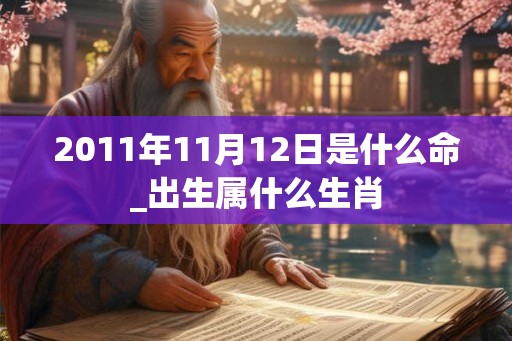 2011年11月12日是什么命_出生属什么生肖