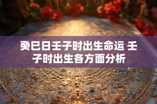 癸巳日壬子时出生命运 壬子时出生各方面分析
