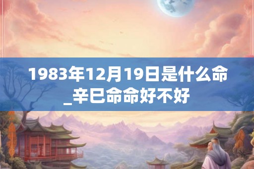 1983年12月19日是什么命_辛巳命命好不好