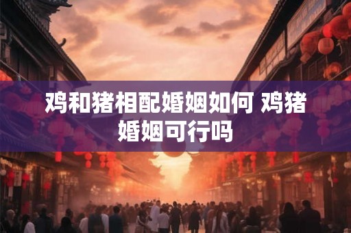 鸡和猪相配婚姻如何 鸡猪婚姻可行吗