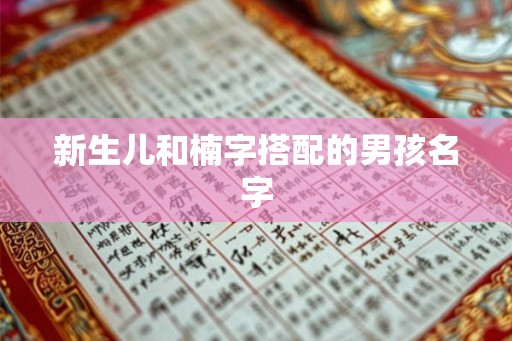 新生儿和楠字搭配的男孩名字
