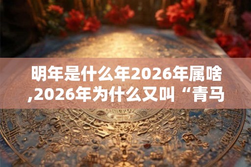 明年是什么年2026年属啥,2026年为什么又叫“青马年”