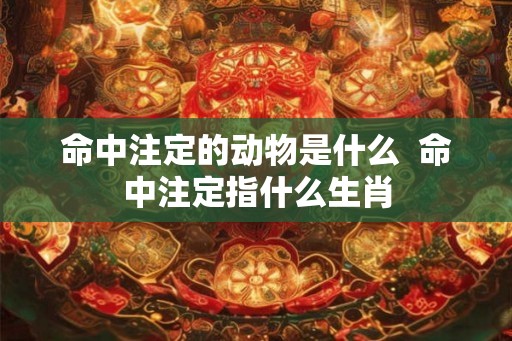 命中注定的动物是什么  命中注定指什么生肖