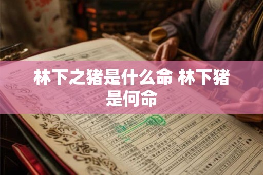 林下之猪是什么命 林下猪是何命