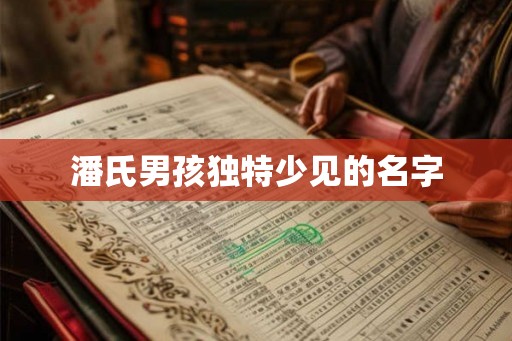 潘氏男孩独特少见的名字 潘氏男孩独特少见的名字