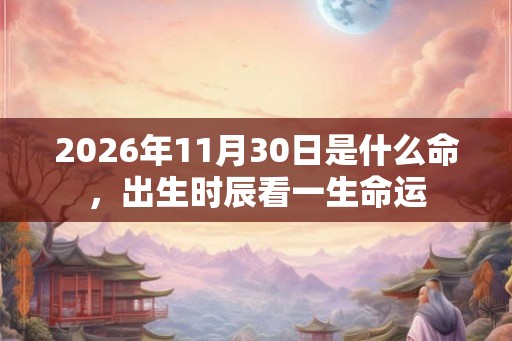 2026年11月30日是什么命，出生时辰看一生命运