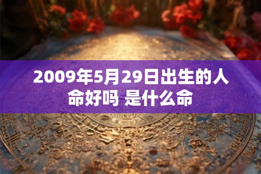 2009年5月29日出生的人命好吗 是什么命 2009年5月29日出生的人命好吗 是什么命