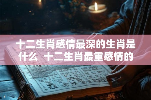 十二生肖感情最深的生肖是什么  十二生肖最重感情的生肖是什么