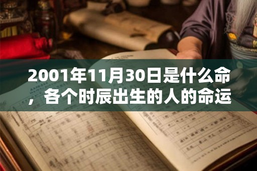 2001年11月30日是什么命，各个时辰出生的人的命运