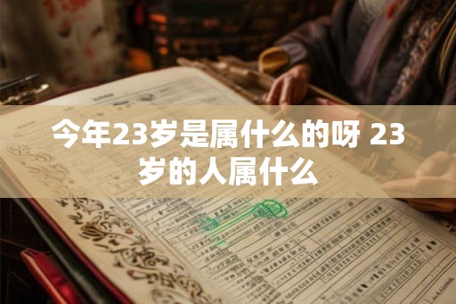 今年23岁是属什么的呀 23岁的人属什么