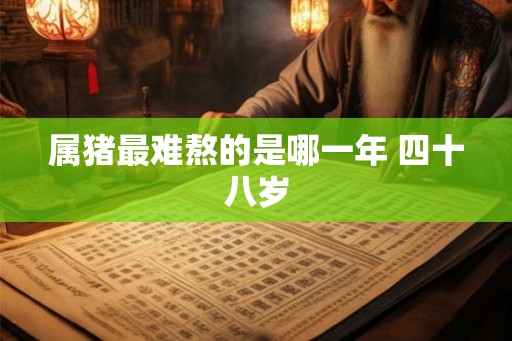 属猪最难熬的是哪一年 四十八岁