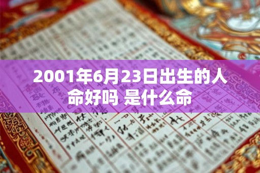 2001年6月23日出生的人命好吗 是什么命