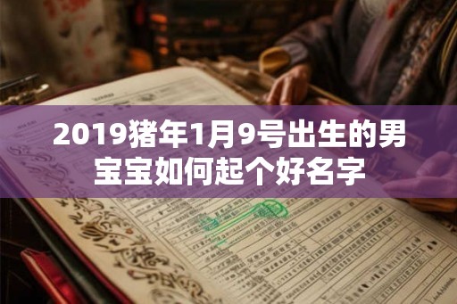 2019猪年1月9号出生的男宝宝如何起个好名字