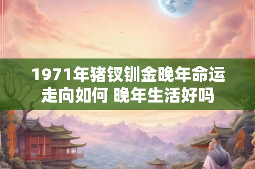 1971年猪钗钏金晚年命运走向如何 晚年生活好吗