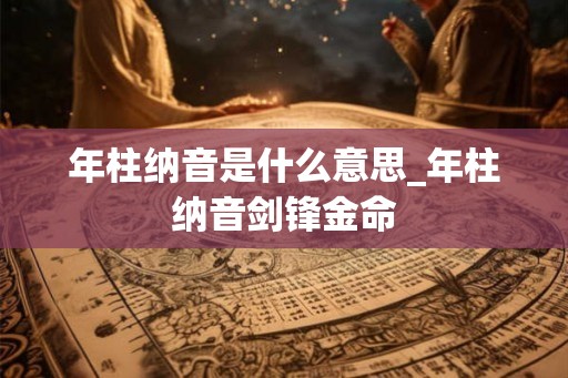 年柱纳音是什么意思_年柱纳音剑锋金命