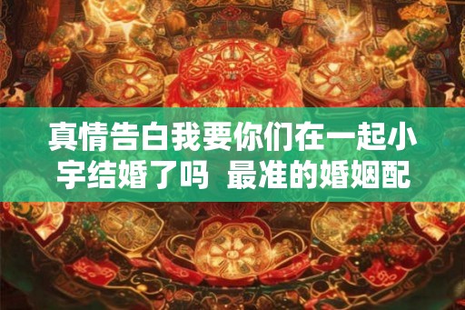 真情告白我要你们在一起小宇结婚了吗  最准的婚姻配偶方向
