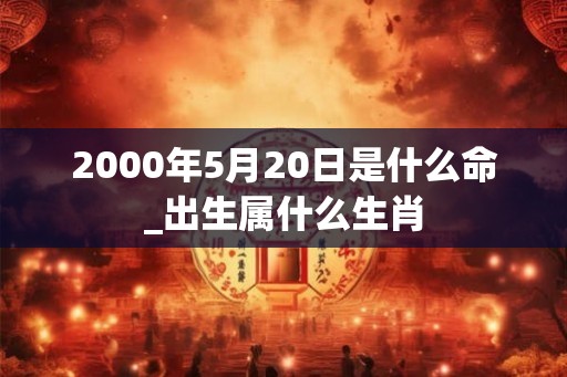 2000年5月20日是什么命_出生属什么生肖