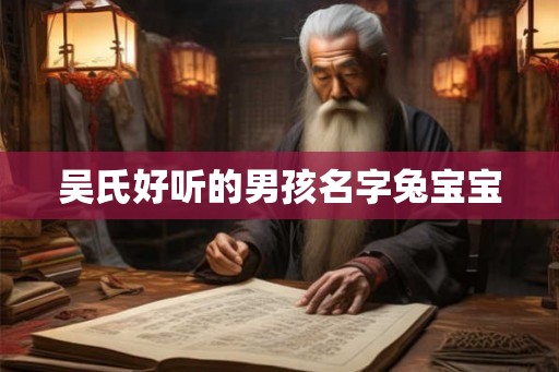 吴氏好听的男孩名字兔宝宝