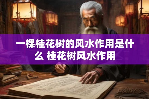 一棵桂花树的风水作用是什么 桂花树风水作用