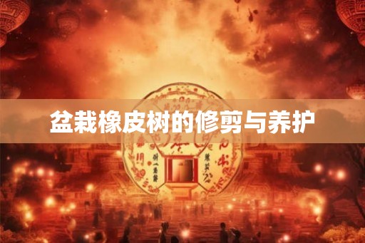 盆栽橡皮树的修剪与养护
